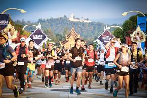 BIB: 893, 3645, 5918
                            <button type="button" onclick="openModal(22678440)" class="btn btn-primary btn-sm float-right btn-popup" data-toggle="modal" data-target=".modal-high-quality">
                        <i class="fas fa-shopping-cart"></i> Add to Cart
                    </button>
                                            <button type="button" onclick="isThisMe(22678440, true)" class="btn btn-success btn-sm float-right btn-popup btn-isme hidden" data-toggle="tooltip" data-placement="bottom" title="นี่คือรูปของคุณใช่ไหม คลิกที่นี่เพื่อเอาเข้าอัลบั้ม">
                        <i class="fas fa-plus"></i> Add to album
                    </button>
                    <button type="button" onclick="isThisMe(22678440, false)" class="btn btn-warning btn-sm float-right btn-popup btn-isnotme hidden">
                        <i class="fas fa-ban"></i> Remove from album
                    </button>